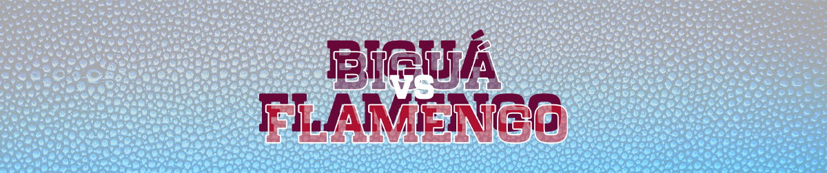 Biguá Flamengo